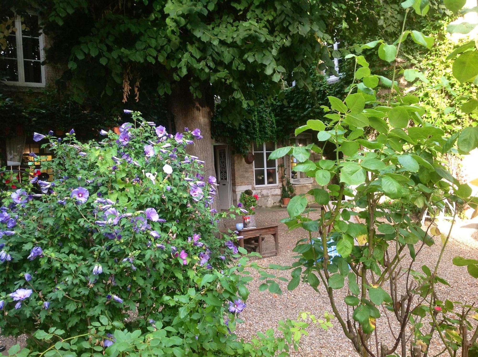 Chambres D'Hotes La Villa Alienor Les Andelys Dış mekan fotoğraf