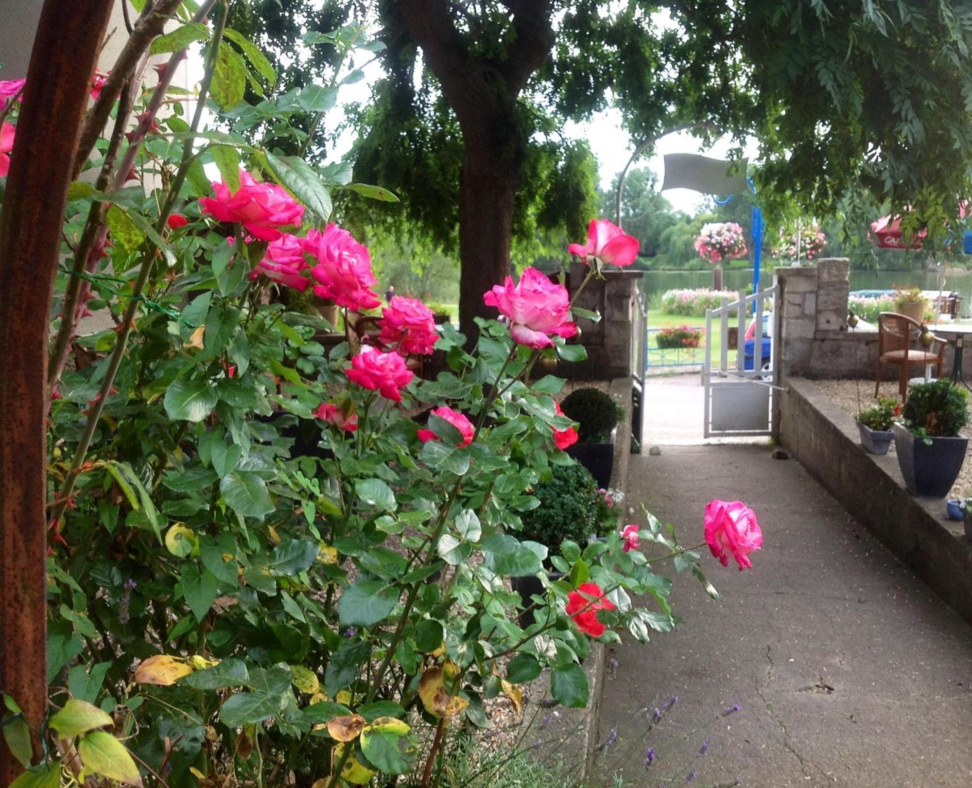 Chambres D'Hotes La Villa Alienor Les Andelys Dış mekan fotoğraf